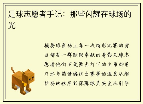 足球志愿者手记：那些闪耀在球场的光