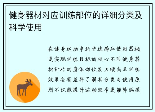 健身器材对应训练部位的详细分类及科学使用